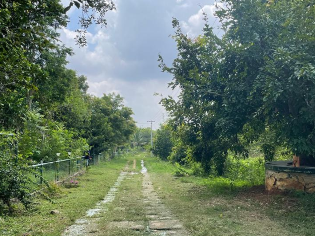 agriculture land near bangalore