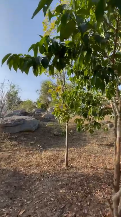 farmland near bangalore
