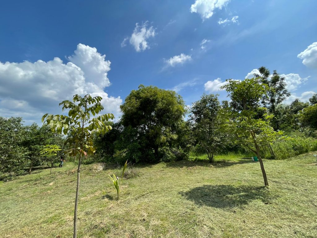 farmland for sale in hosur