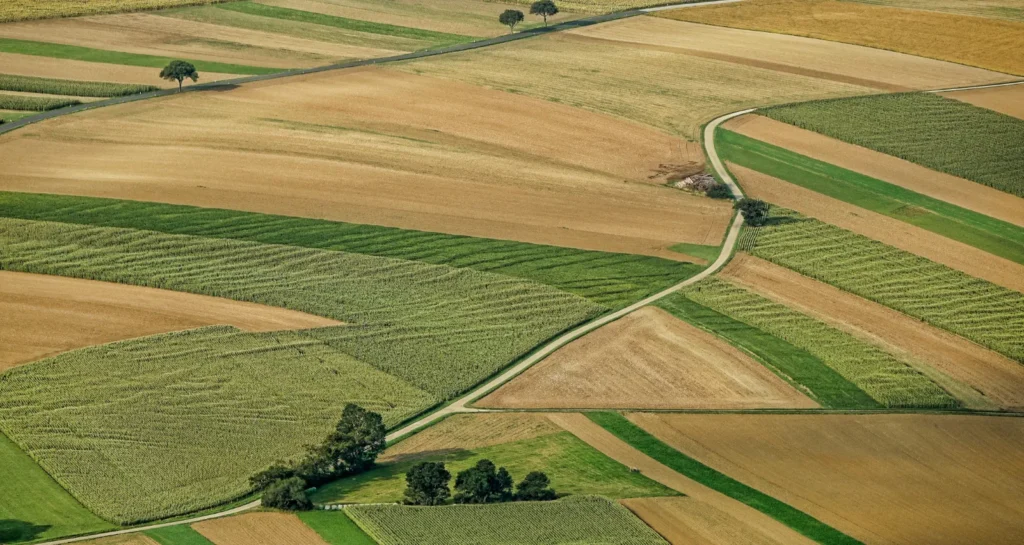 agricultural landscape of Bangalore