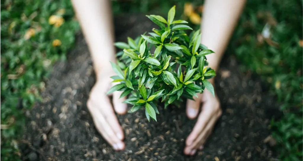 Sustainable Agriculture