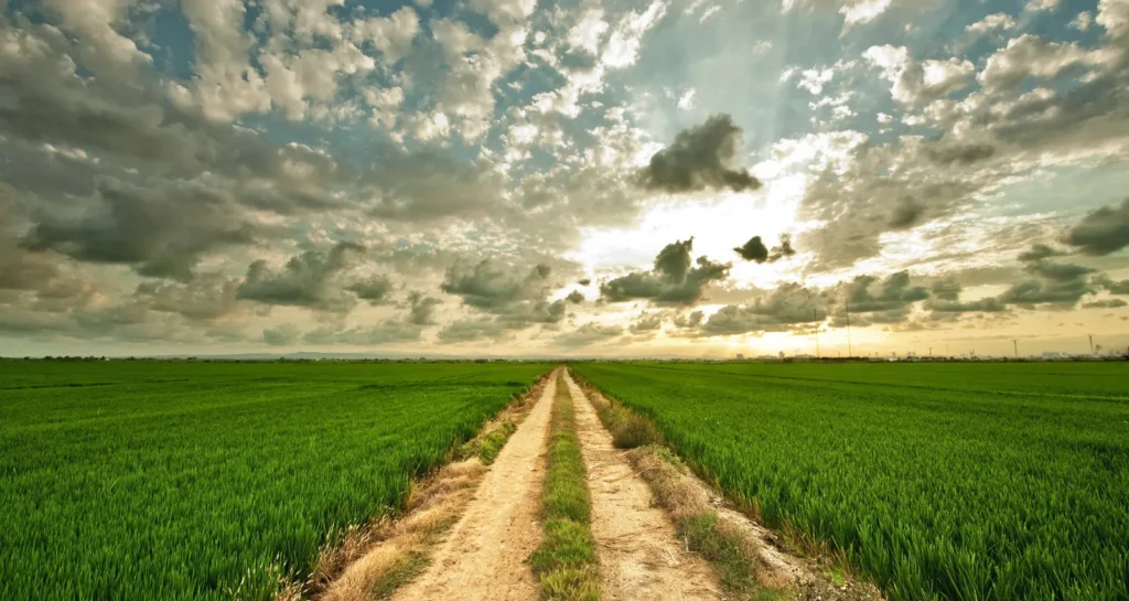 Owning farmland near Bangalore