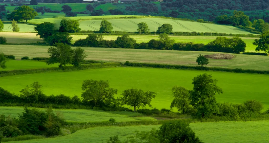 Managed farmland ownership India