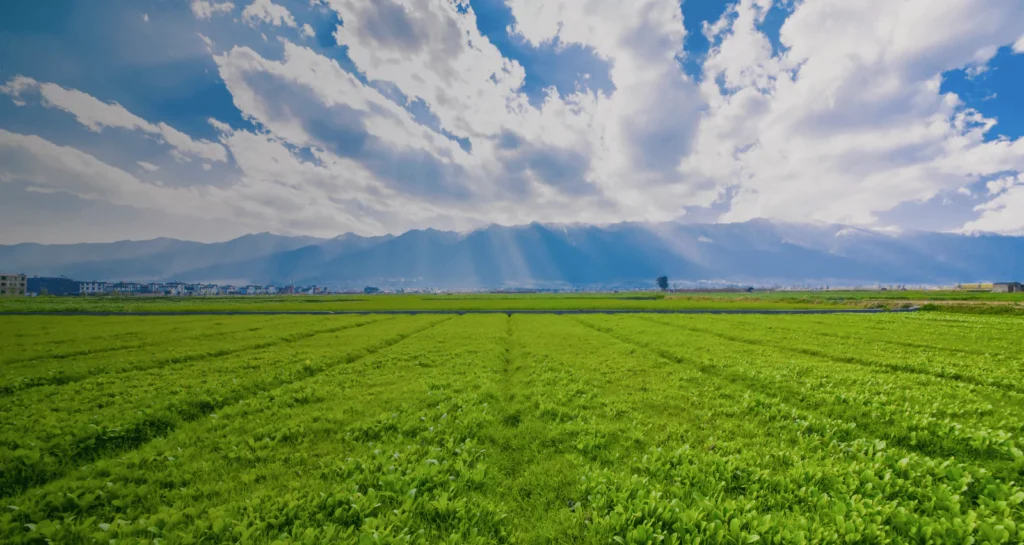 farmland conservation