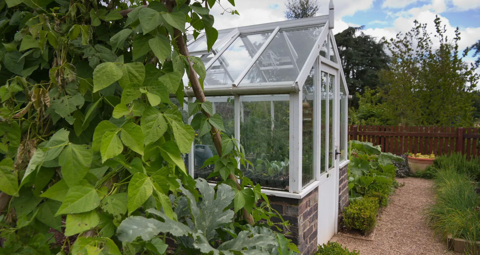 How to Start Your Own Home Garden: Tips and Advice from Blooms Eco Village